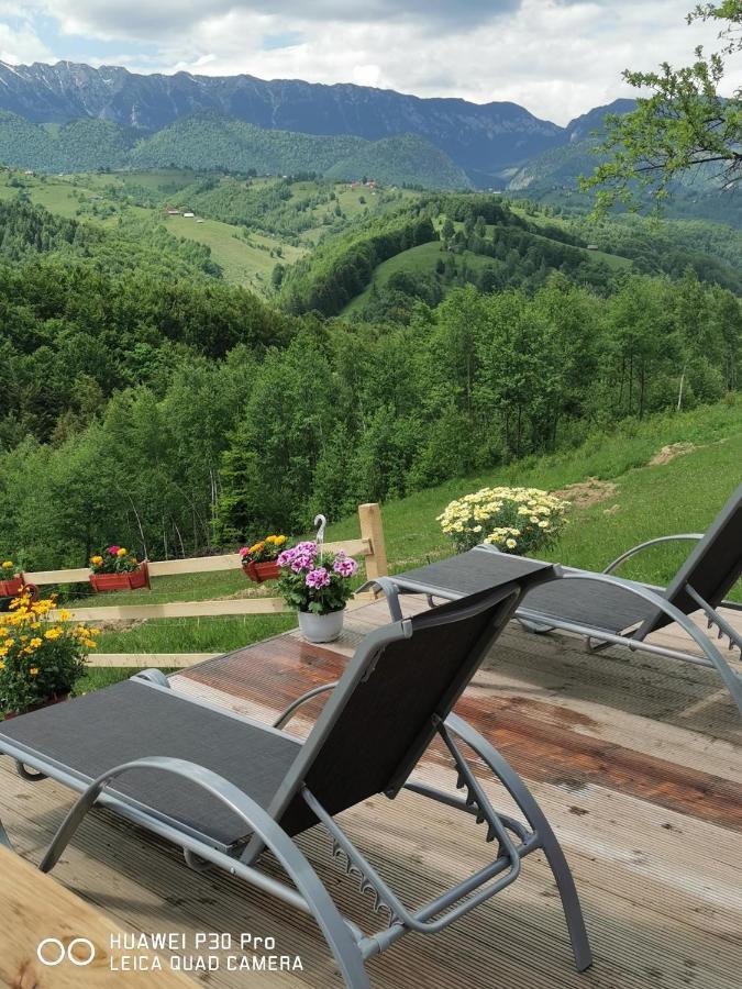 Hotel Cabanuta Din Munti Moieciu de Jos Exterior foto